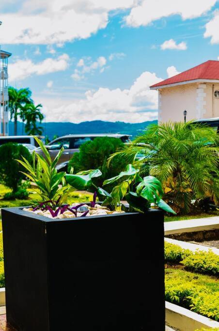 Falcon Islandview - Airport Pickup Available - 24Security มอนเทโกเบย์ ภายนอก รูปภาพ